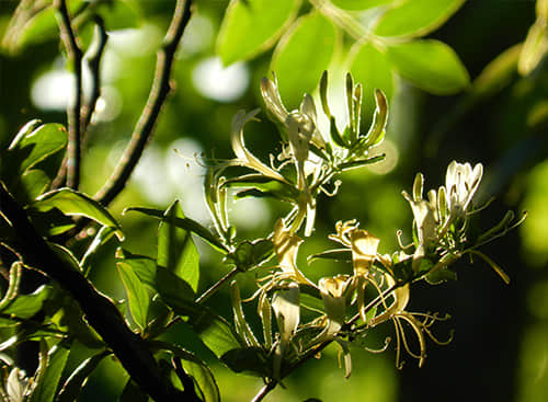 焊接工藝技術(shù)